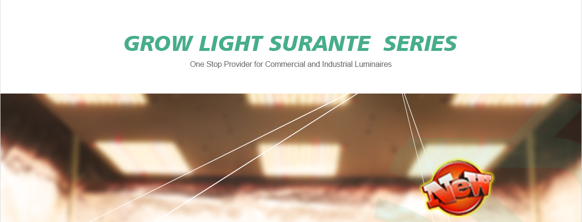 Grow-Light-SURANTE_01.jpg