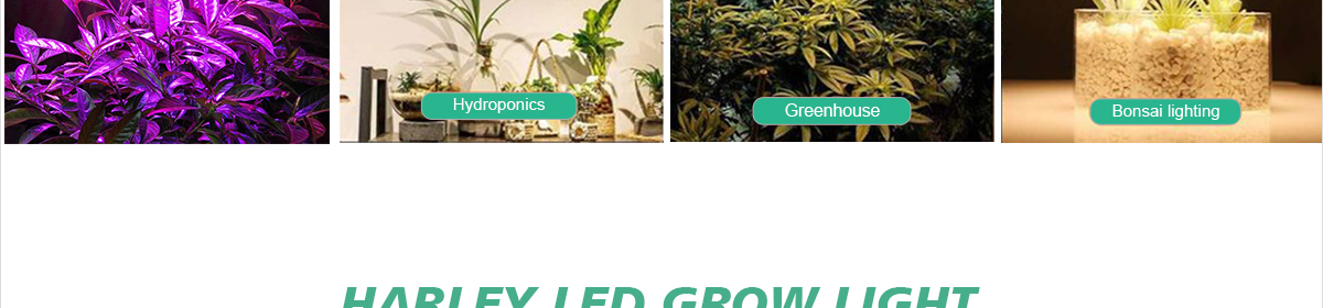Grow-Light-SURANTE_12.jpg