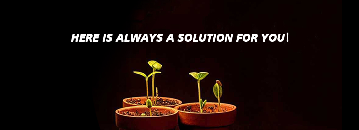 Grow-Light-SURANTE_20.jpg