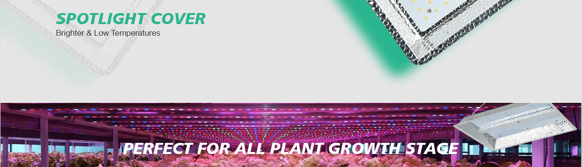 Grow-Light-C-Series_06.jpg