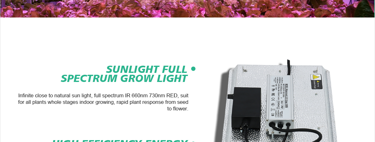 Grow-Light-C-Series_07.jpg